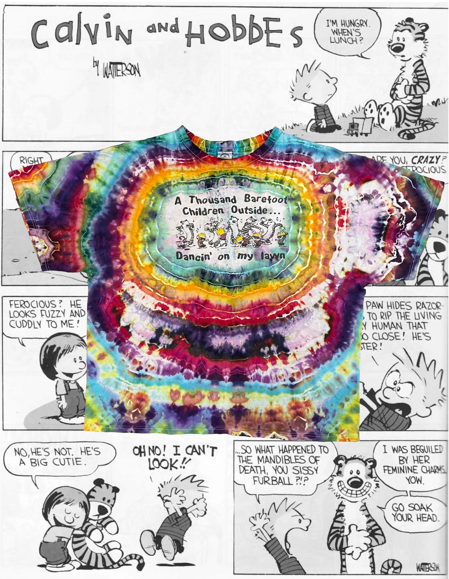 1/1 Vintage Calvin & Hobbes x Down With Disease