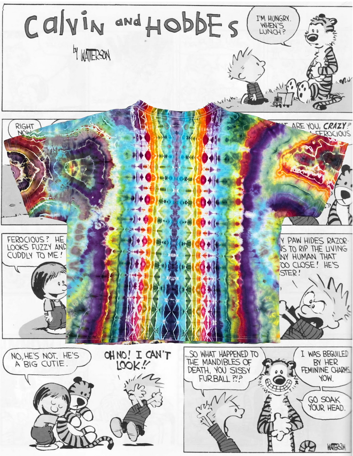 1/1 Vintage Calvin & Hobbes x Down With Disease