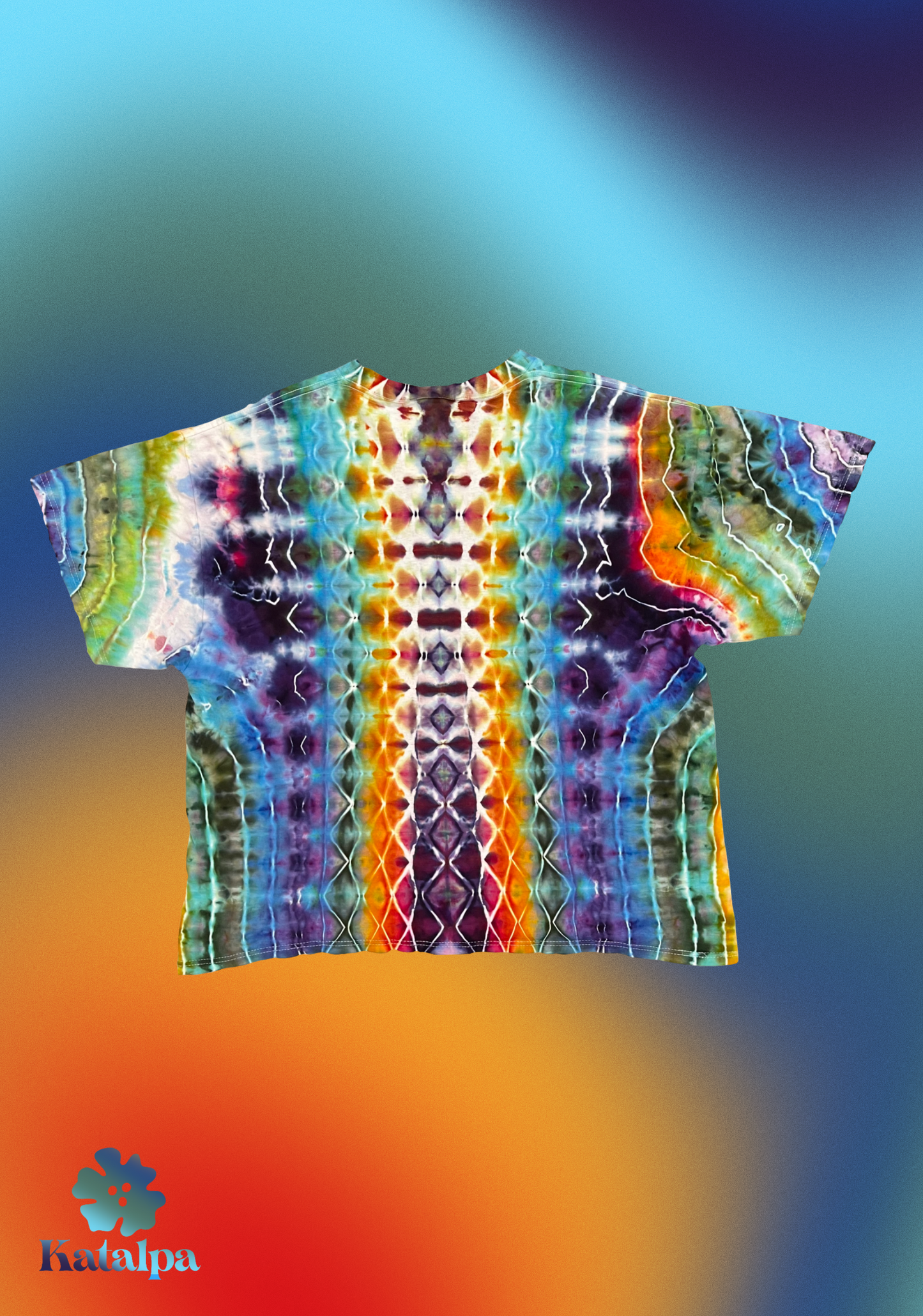 1/1 2.0 Katalpa Phish Logo Tee